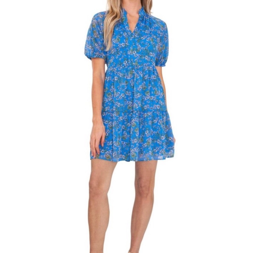 CeCe Chic Babydoll Floral Sheer Puff Sleeve Lined Ruffle Collar Blue Dress XS